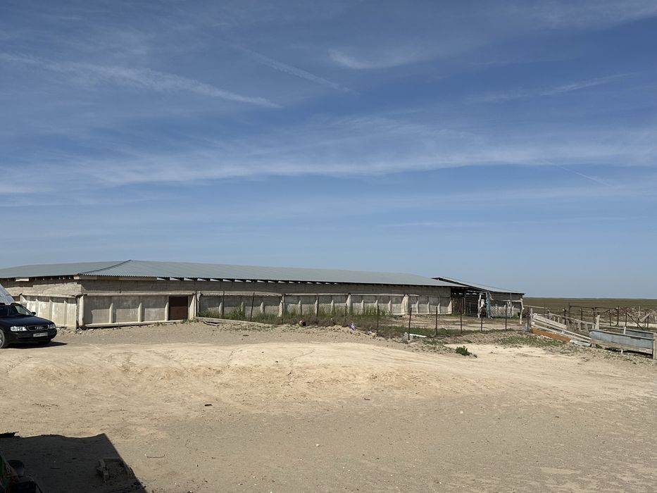 Продаётся фазенда