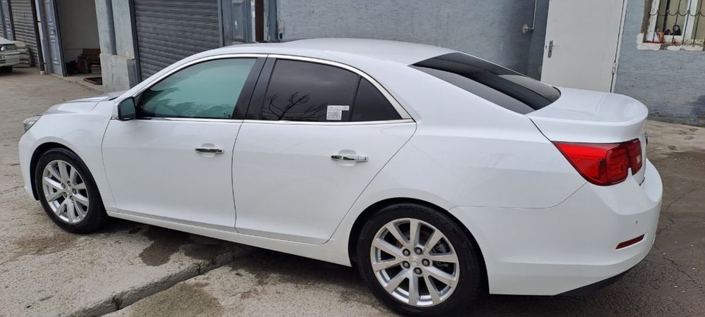 Malibu 1 3 Пазитсия