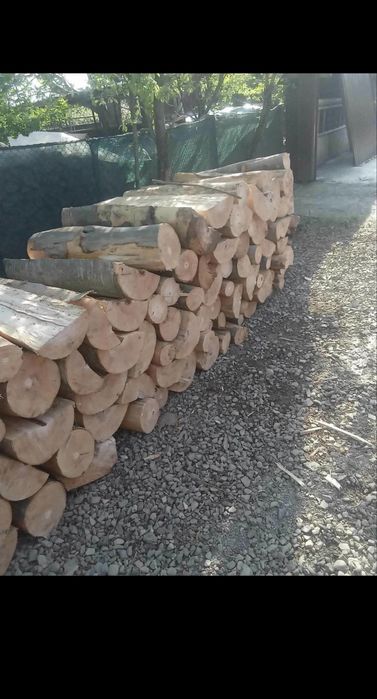Vand lemne de brad si de fag in judetul Suceava