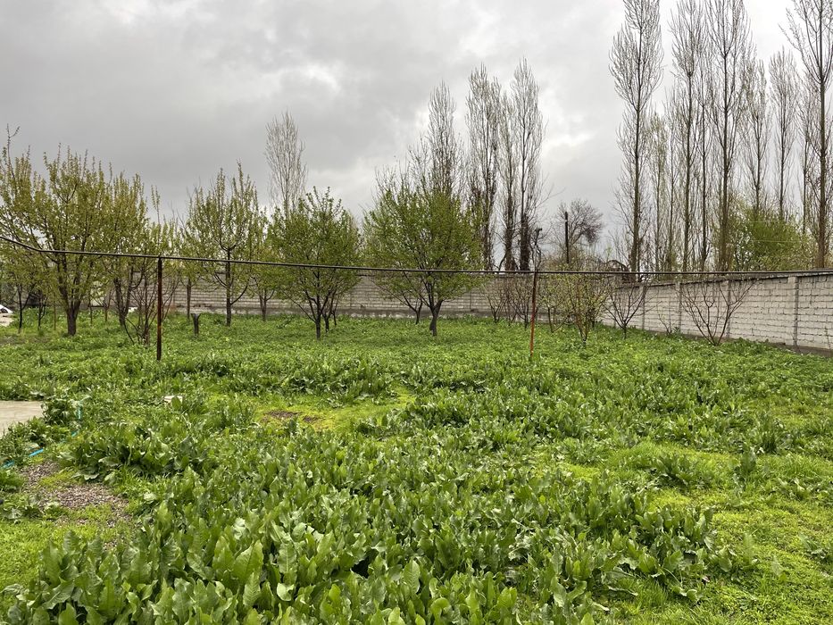 Продается Дом+участок