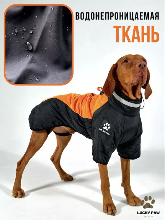 Одежда для собак