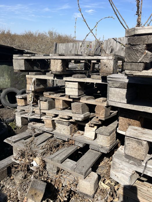 Продам поддоны по 1000