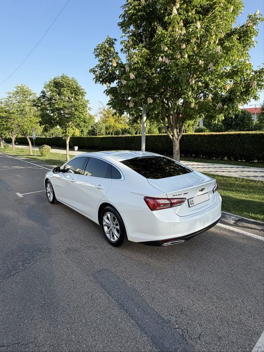 Malibu Premier 2022 тозза