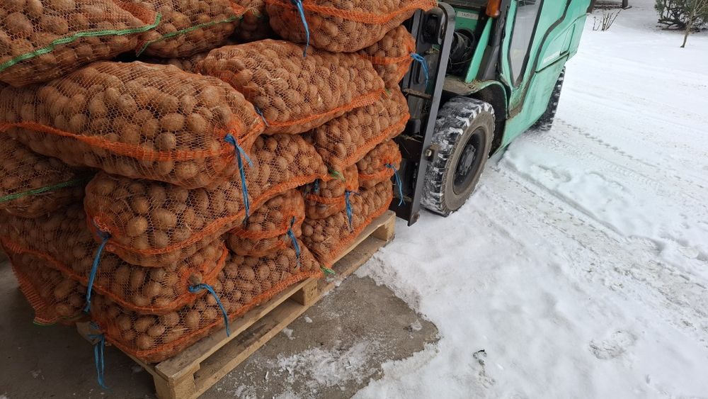 Cartofi de sămânță Arizona, Bellarosa,  clasa B