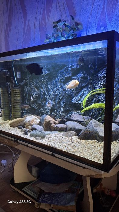 Аквариум с рыбками