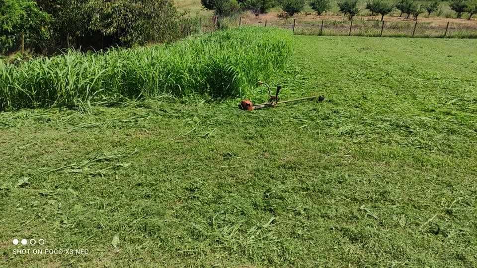 Косене на трева,чистене на дворове