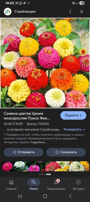 Продам рассаду цветов