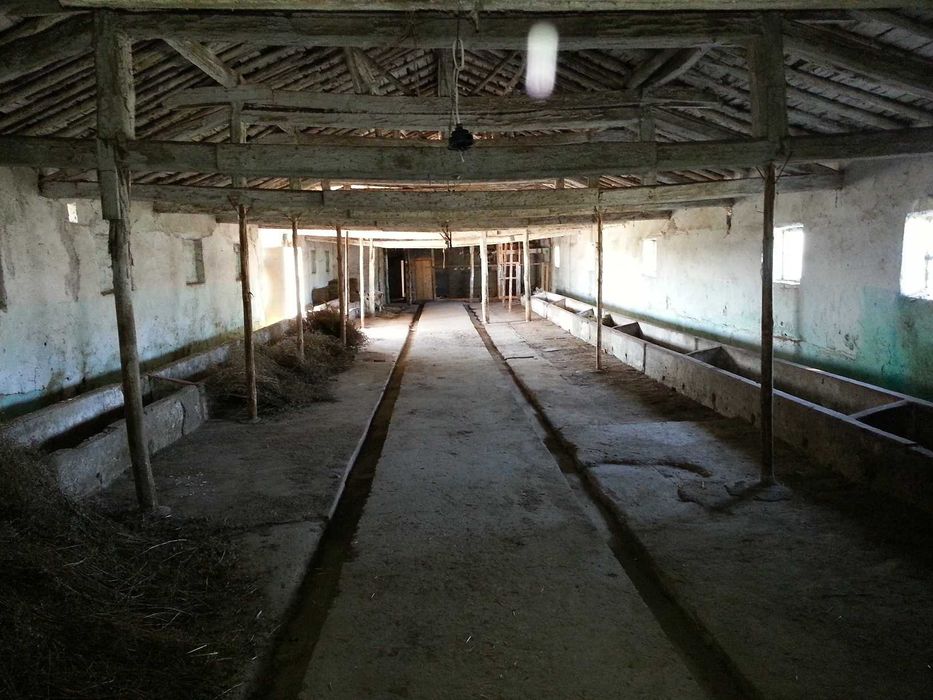 Продава се Склад в Генерал Тошево - 430 кв.м за 89 €/кв.м - Снимка #3