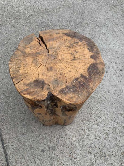 Scaun bustean de gradina