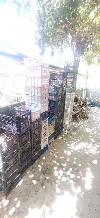 Plastmasa yashiklar sotiladi 3000 DAN 6000 gacha boʻlgan