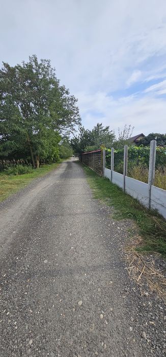 Teren intravilan construibil peisaj de vis