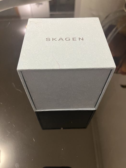 Ceas  Skagen Danemark