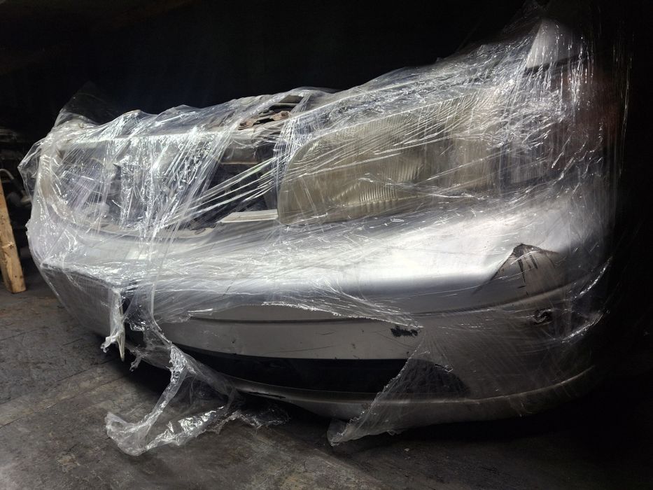 Морда одисей носкат