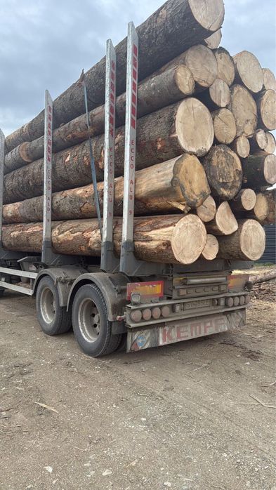 Vand camion forestier si trailer Doll