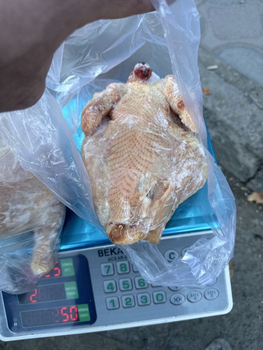 Куры домашние вкусные сочные