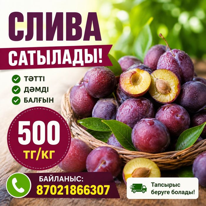 Слива сатылады кг 500 тг