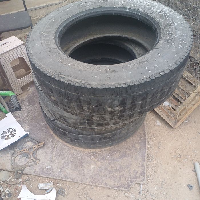 Шины без камерный