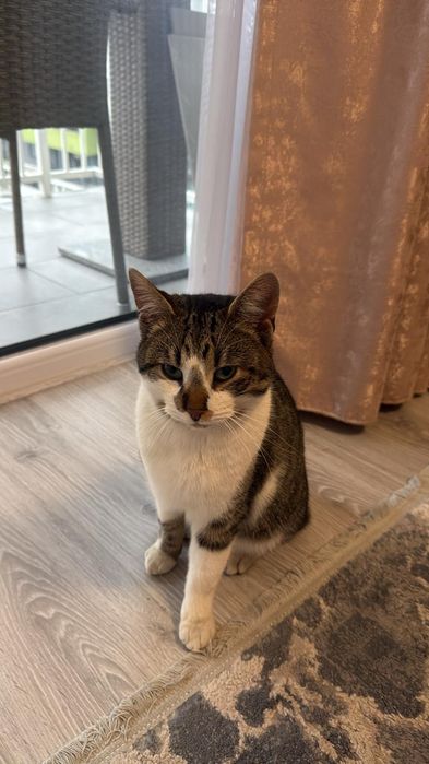 Promit să fiu cel mai bun prieten al copilului tău!