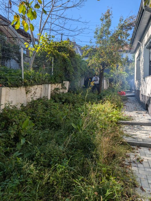 Întreținere spații verzi