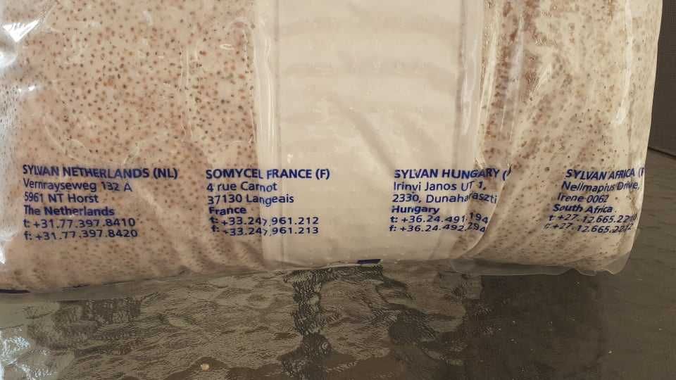 Miceliu Sylvan Ciuperci Pleurotus GreenFarm.ro