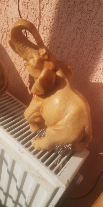 Elefanți răsina, frumoși