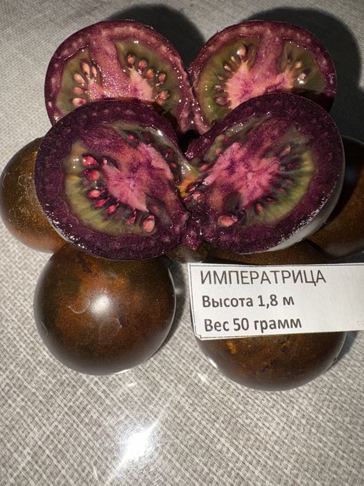 Алматы Продам коллекционные семена томата Сержант Пепер ст Шамалган