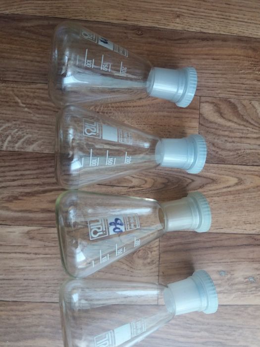 продам  мед  вет .лабар колбочки