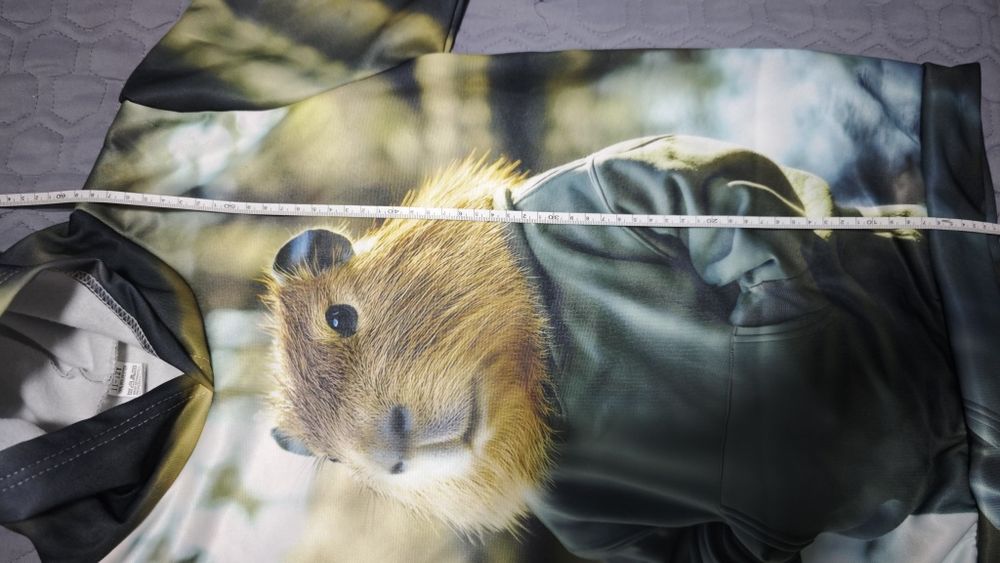 Худи с капибарой