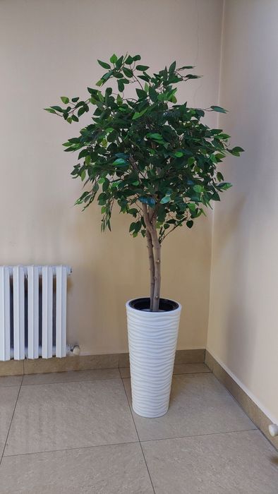 Искусственные деревья, Фикус Бенджамина