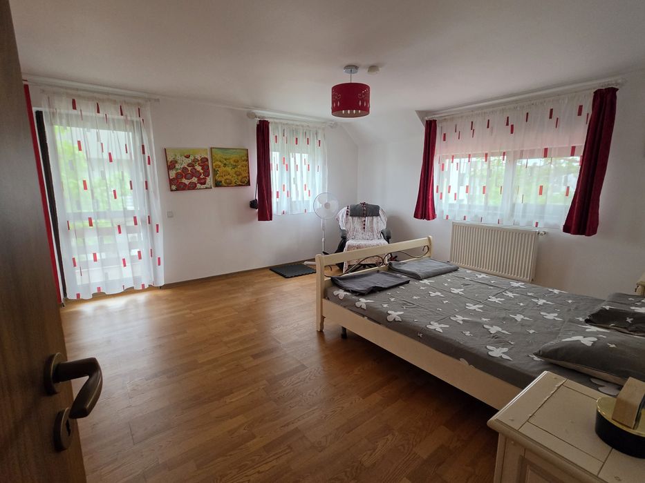 CONFORT PENTRU FAMILIE: Vila cu 5 camere si curte in Domnesti