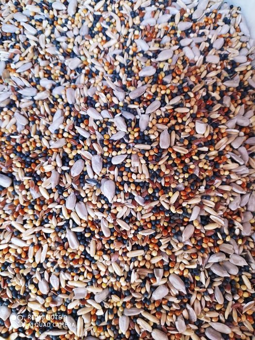 Корм для всех видов декоративных птиц