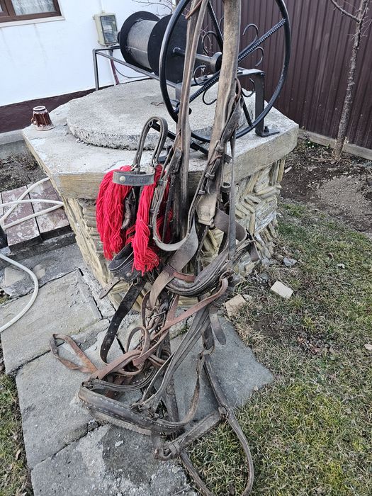 Ham , căpăstru si hățuri