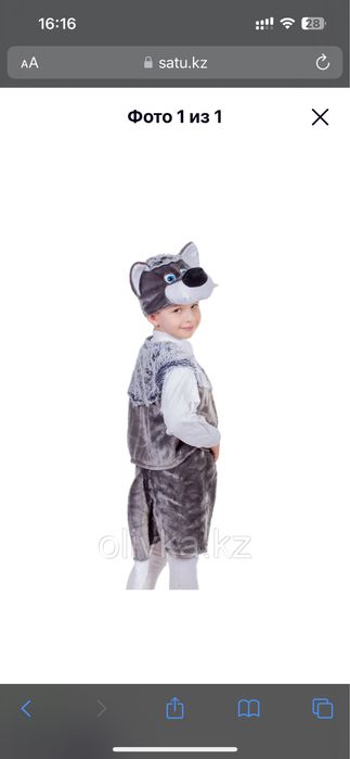 Прокат дам серый волк