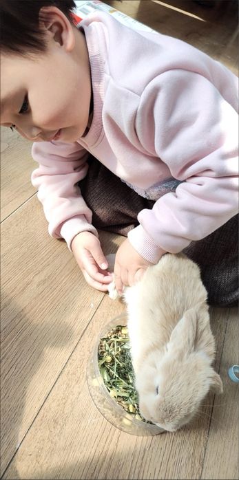 “Farzandingizga telefon emas - tirik do’st bering!