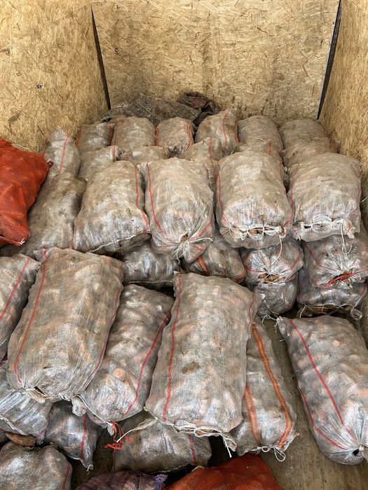 Продам морковь 2 сорт для скота