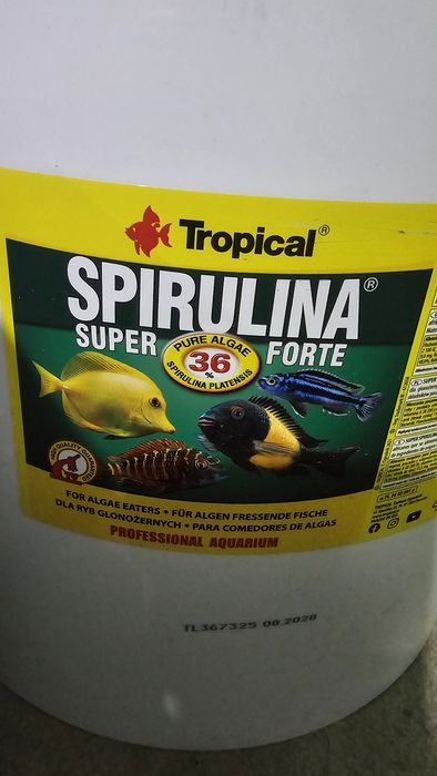 Храна за Африкански цихлиди, дънни и други декоративни рибки!