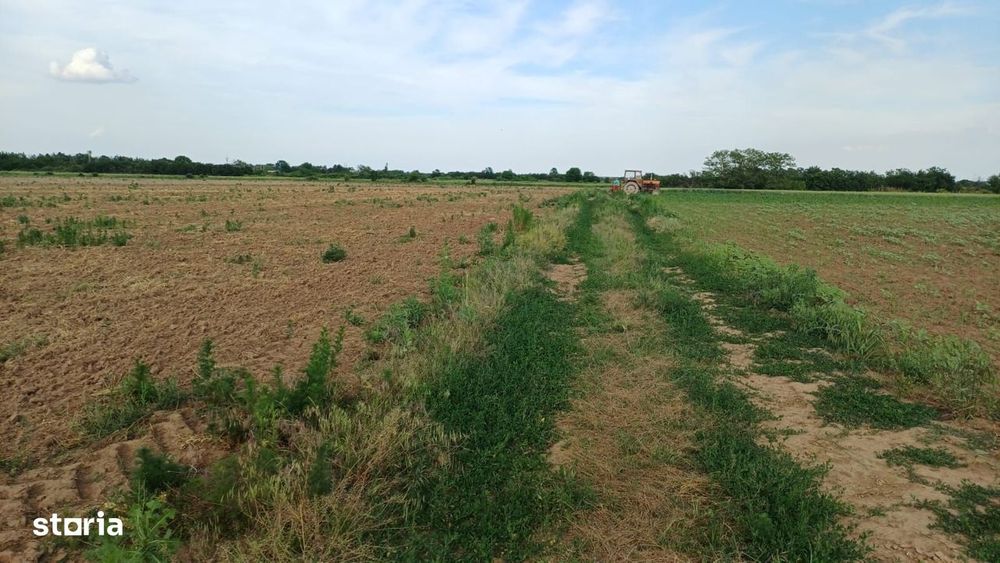 Teren intravilan de vanzare | Peris | 10.000 mp | Investitie sigura