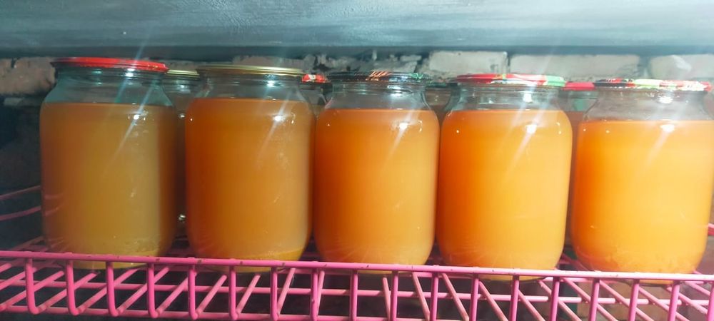 Яблочный сок, крыжовник, черноплодка