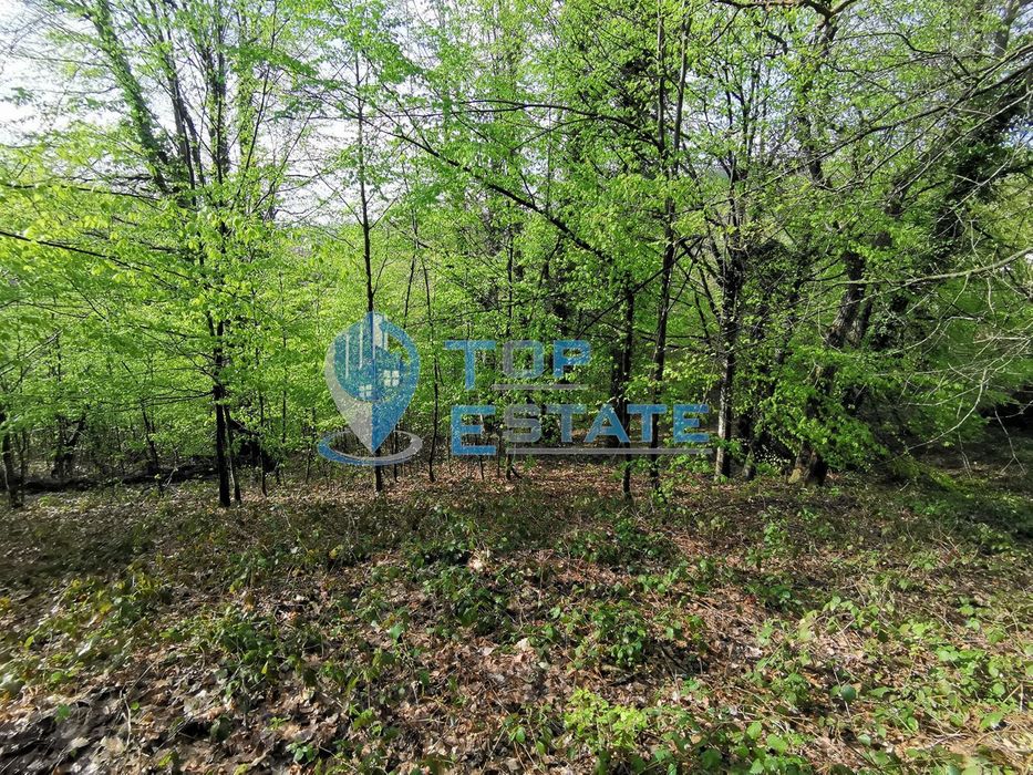 Парцел в регулация в с. Боженци