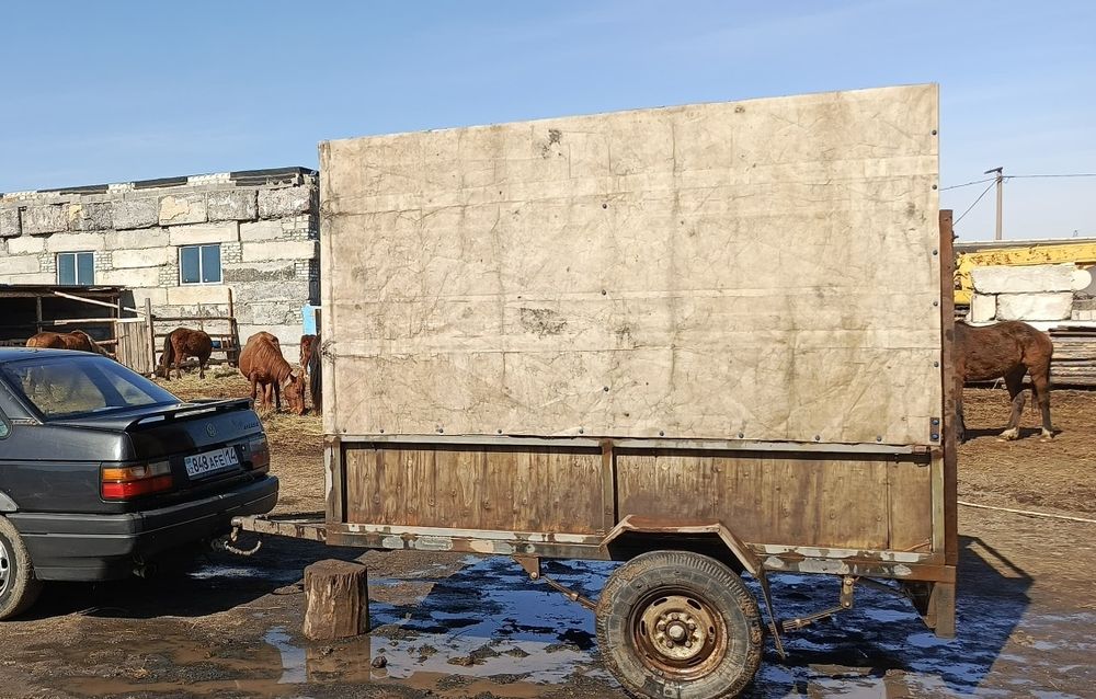 Продам Прицеп, Коневозка