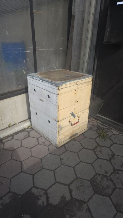 Улья пчелиные продам