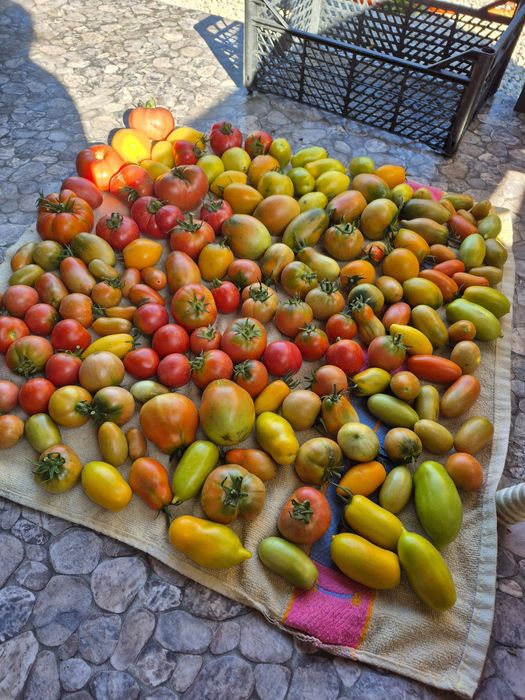 Дача на Фёдоровке