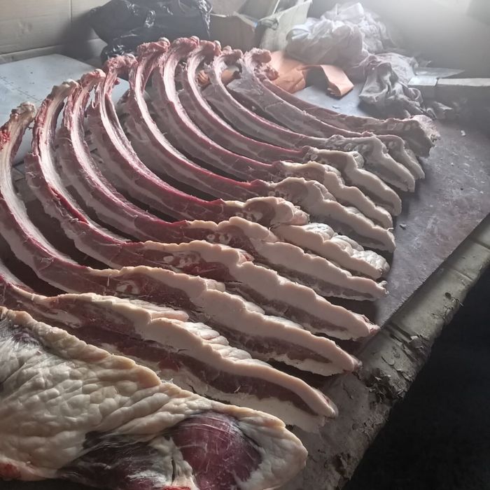 Продам мясо конина