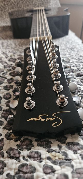 Двенадцатиструнная гитара