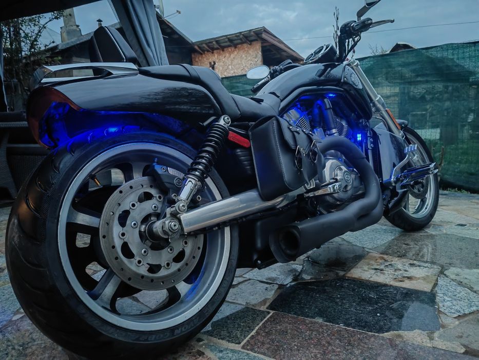 Harley-Davidson 1250 v-rod muscle vrscf