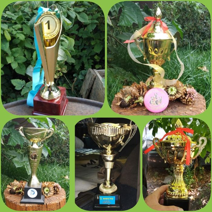 Зоогостиница для собак