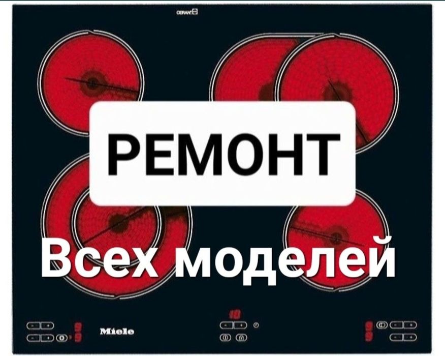 Ремонт электроплит духовок и индукционной плиты