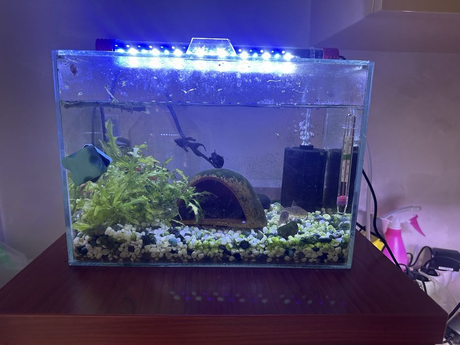 Авариум 15 литра с камани