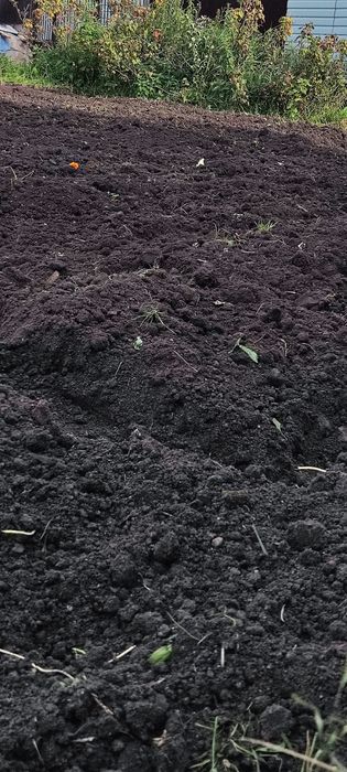 Продам дачу с баней в  СТ  Борки