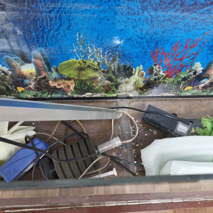 Аквариум...Аквариум... приходите смотрите